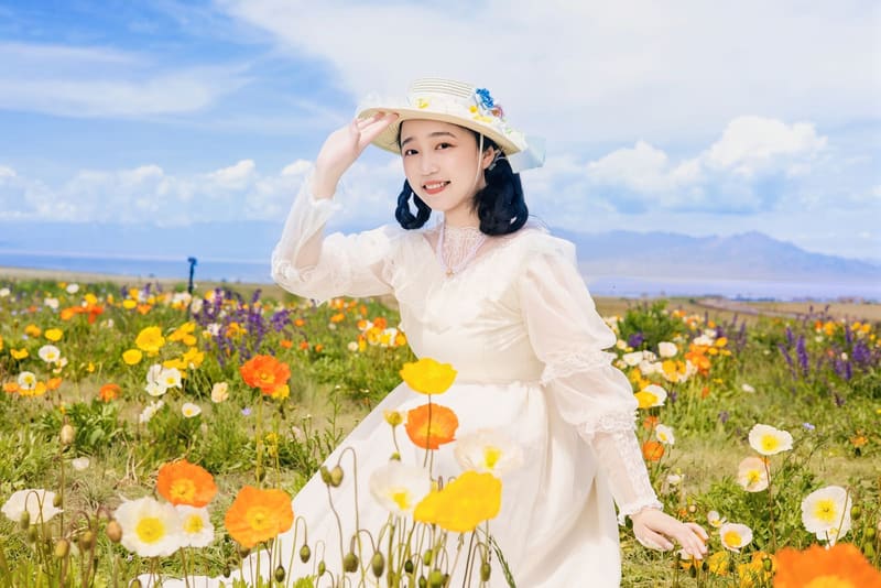 赛里木湖虞美人花海